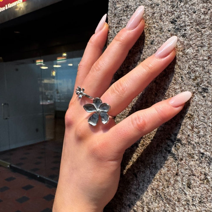 Celeste - Ring Stål