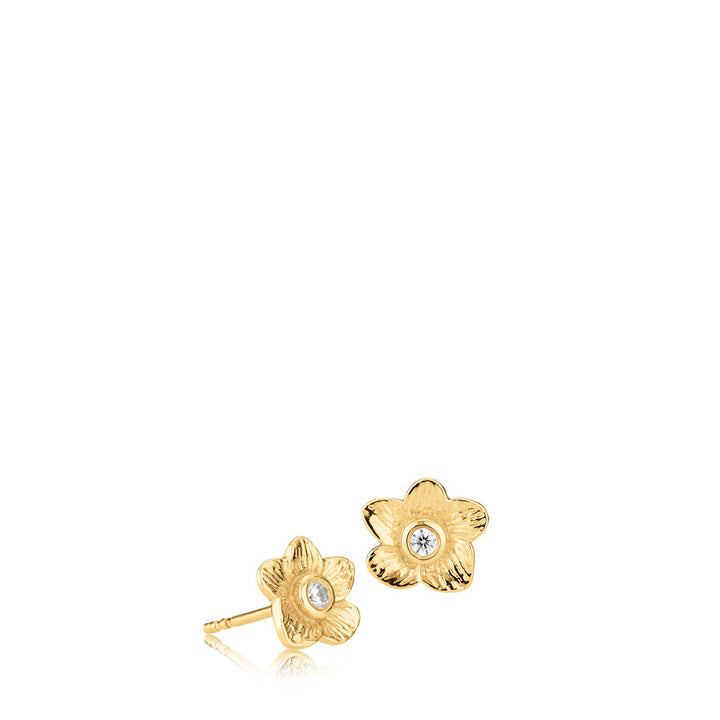 Pink - Studs Gold plated