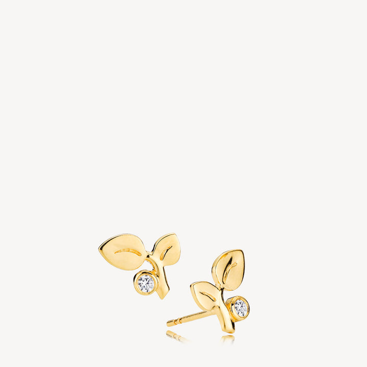 Amber - Earrings Gold plated